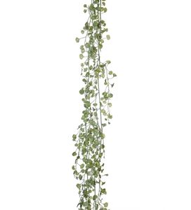 Hovedbilde Girlander Silverfall - Mr. Plant